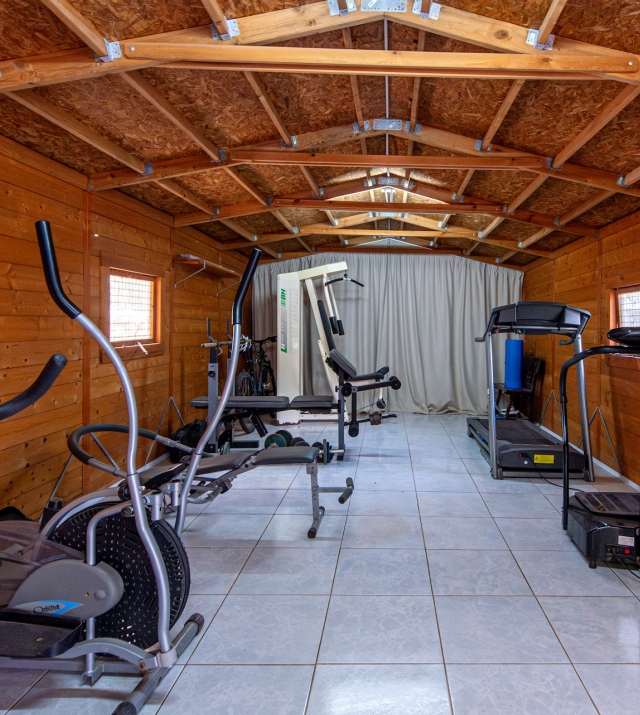 Resa Estates vastgoed te koop Ibiza Geraldine finca san lorenzo noorden gym fitness.jpg